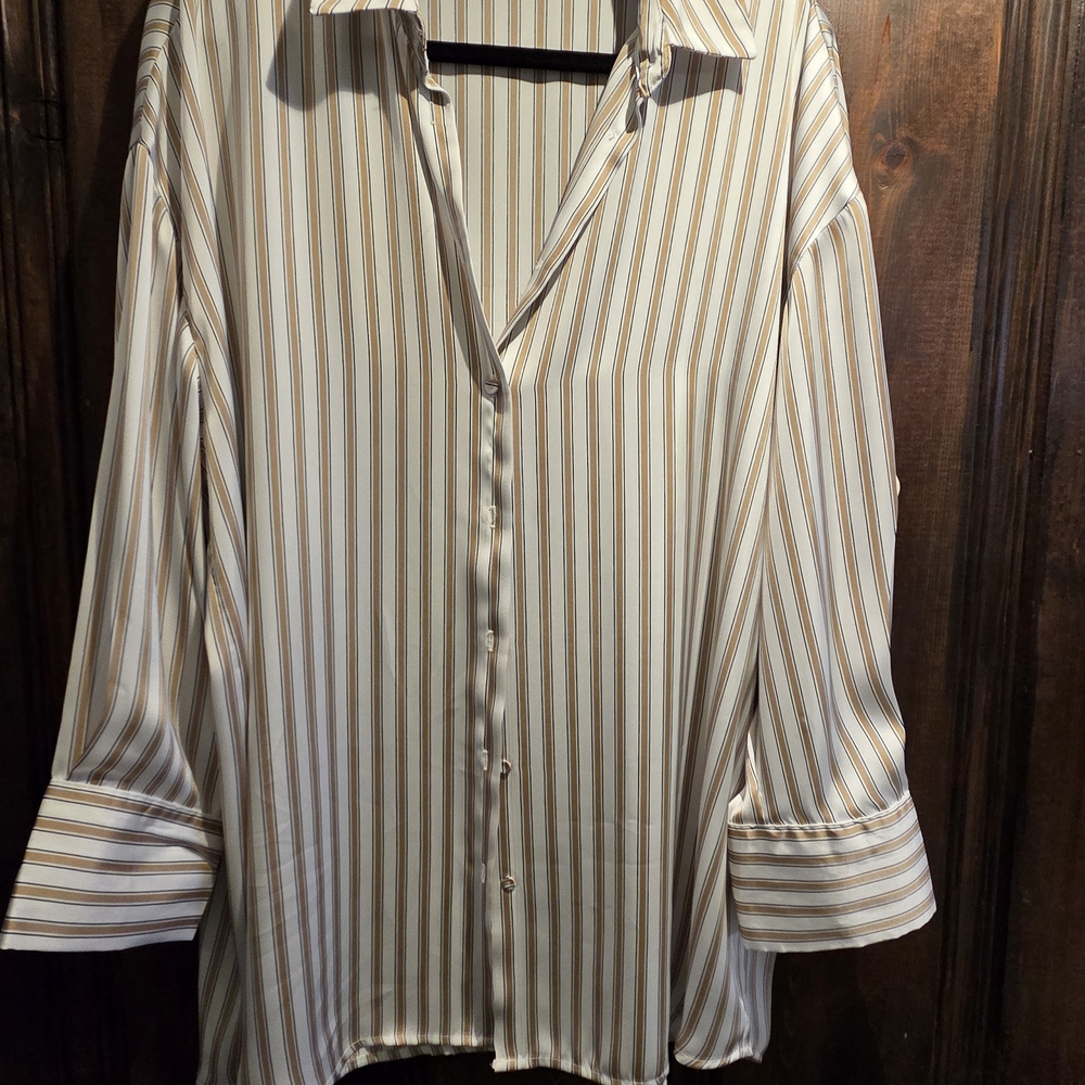 Zara Striped Button Down Shirt MEDIUM Silky